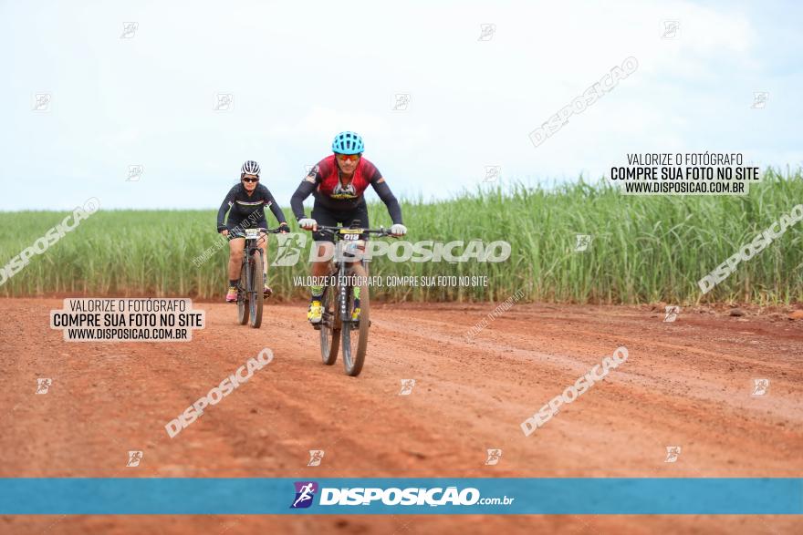 1ª EDIÇÃO DESAFIO ABELHA GRANDE - XCM