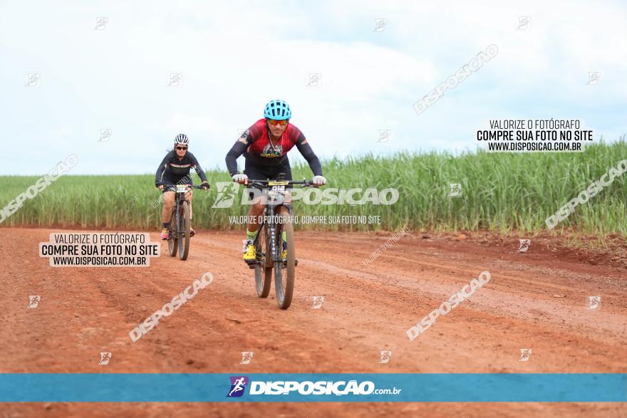 1ª EDIÇÃO DESAFIO ABELHA GRANDE - XCM