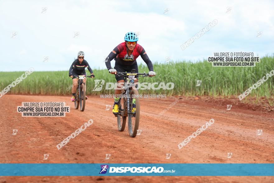 1ª EDIÇÃO DESAFIO ABELHA GRANDE - XCM