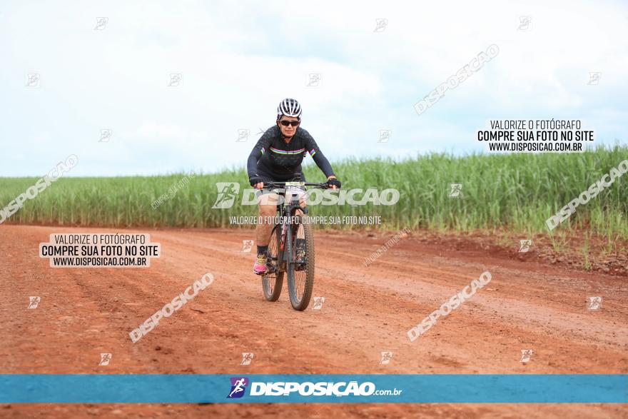 1ª EDIÇÃO DESAFIO ABELHA GRANDE - XCM