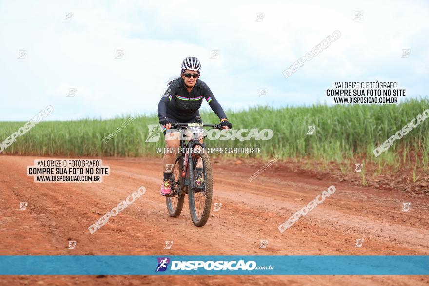 1ª EDIÇÃO DESAFIO ABELHA GRANDE - XCM