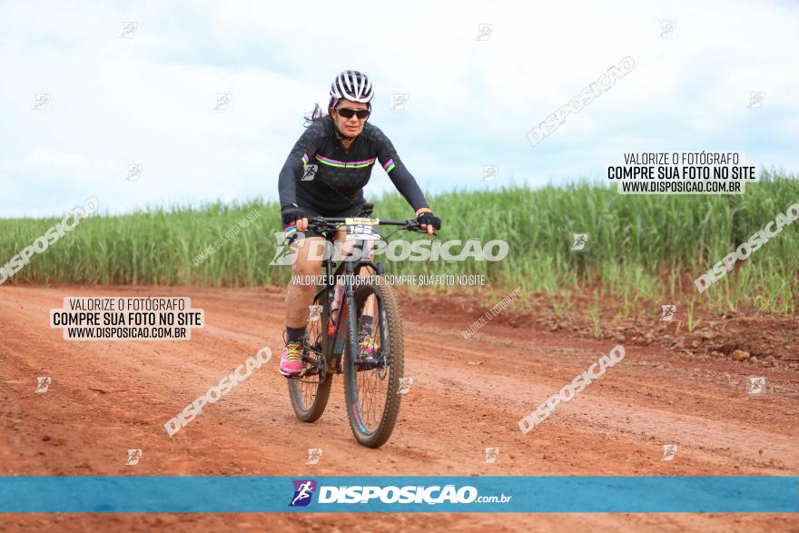 1ª EDIÇÃO DESAFIO ABELHA GRANDE - XCM