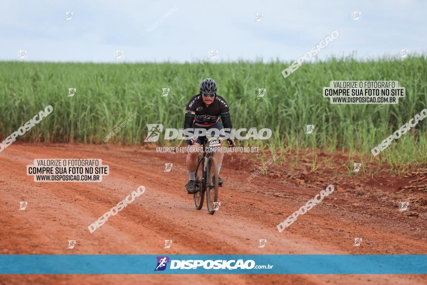 1ª EDIÇÃO DESAFIO ABELHA GRANDE - XCM