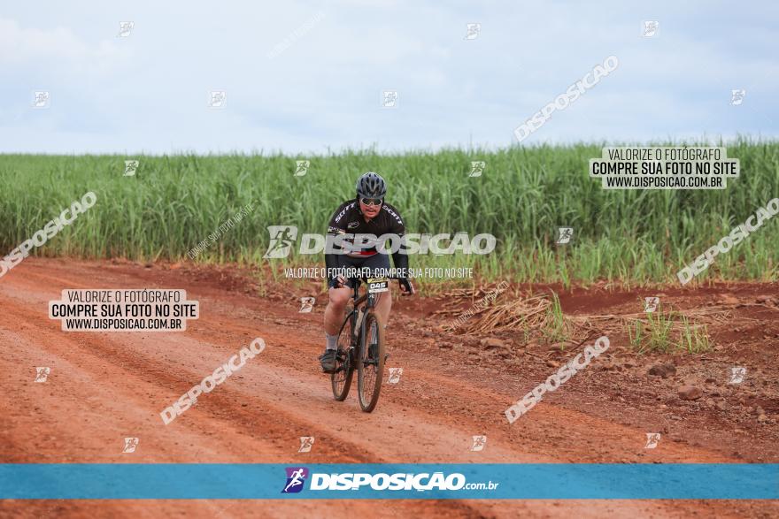 1ª EDIÇÃO DESAFIO ABELHA GRANDE - XCM