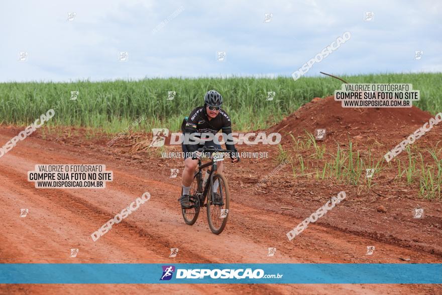 1ª EDIÇÃO DESAFIO ABELHA GRANDE - XCM