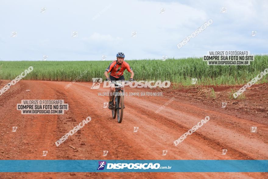 1ª EDIÇÃO DESAFIO ABELHA GRANDE - XCM