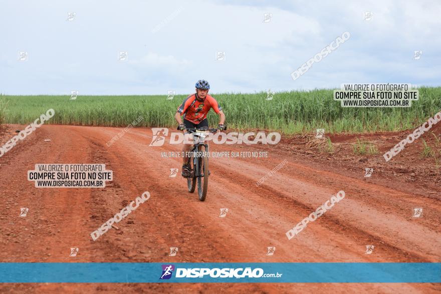 1ª EDIÇÃO DESAFIO ABELHA GRANDE - XCM