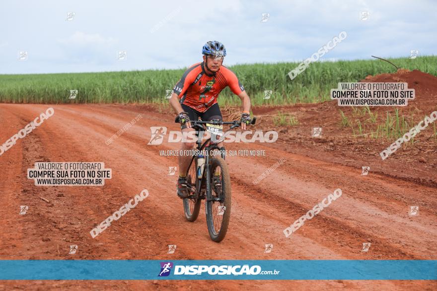 1ª EDIÇÃO DESAFIO ABELHA GRANDE - XCM