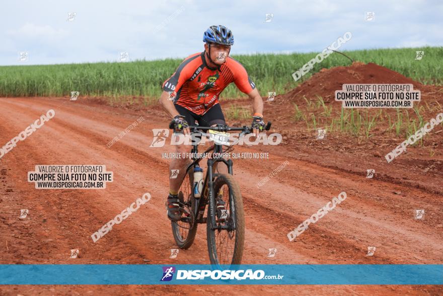 1ª EDIÇÃO DESAFIO ABELHA GRANDE - XCM