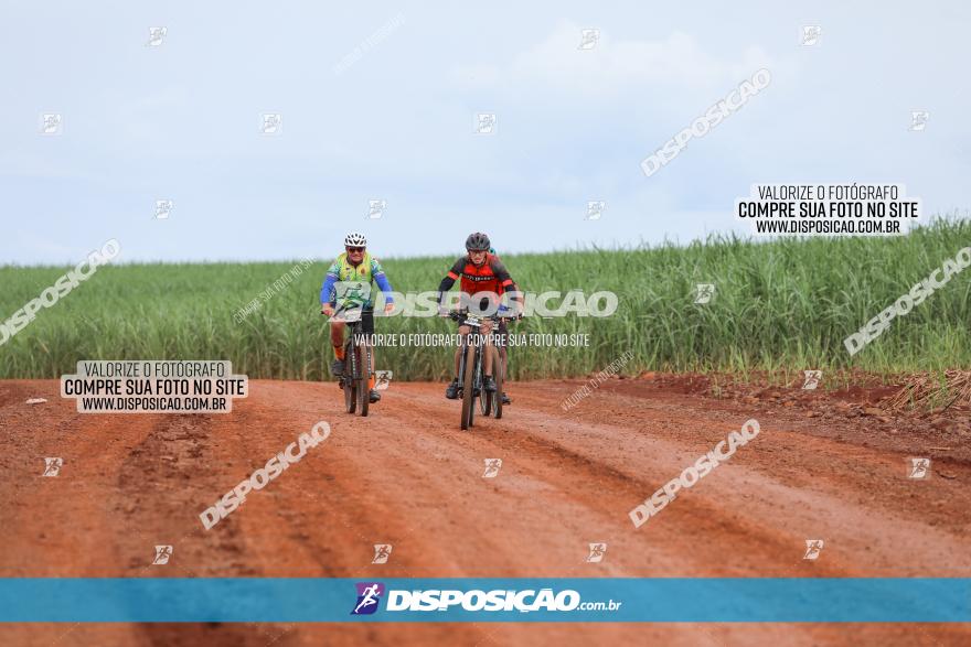 1ª EDIÇÃO DESAFIO ABELHA GRANDE - XCM