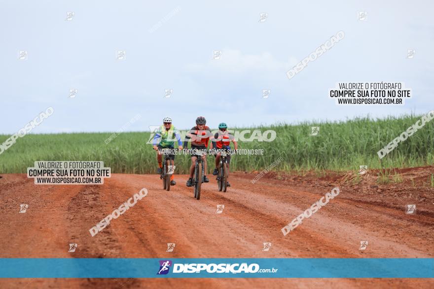 1ª EDIÇÃO DESAFIO ABELHA GRANDE - XCM