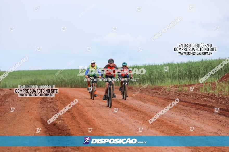 1ª EDIÇÃO DESAFIO ABELHA GRANDE - XCM