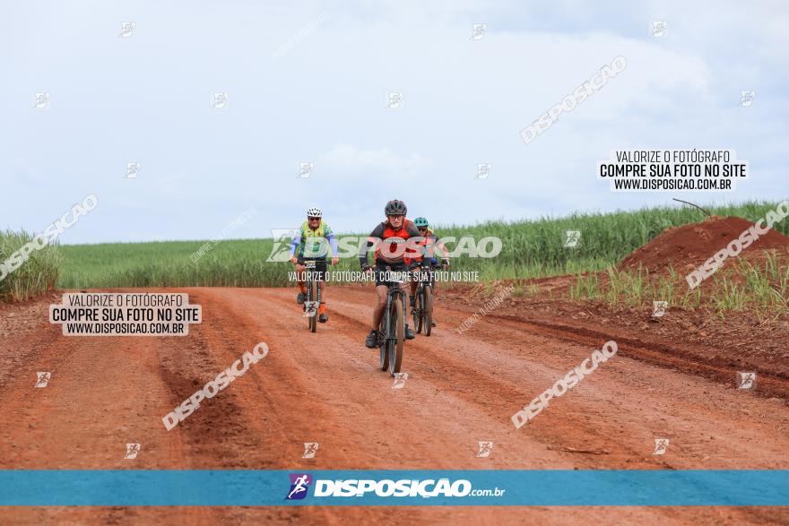 1ª EDIÇÃO DESAFIO ABELHA GRANDE - XCM