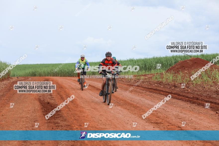 1ª EDIÇÃO DESAFIO ABELHA GRANDE - XCM