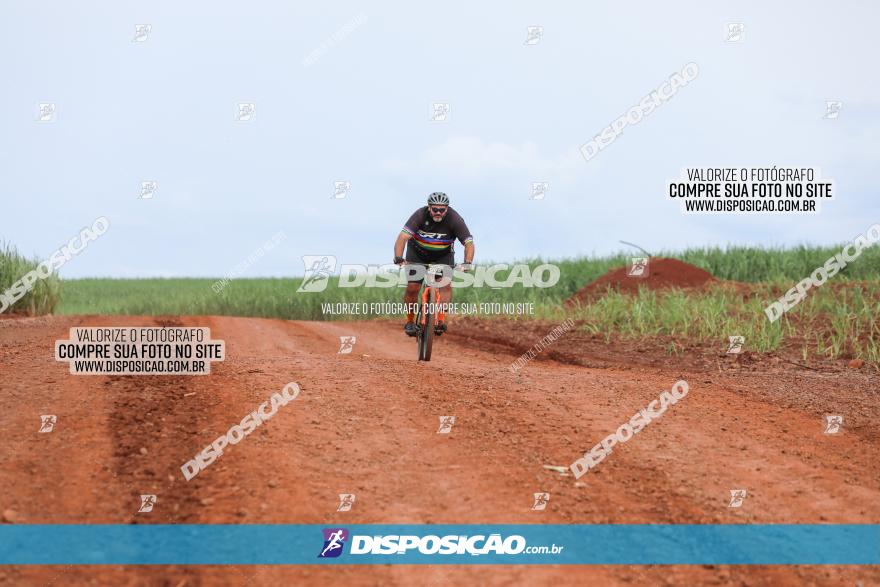 1ª EDIÇÃO DESAFIO ABELHA GRANDE - XCM