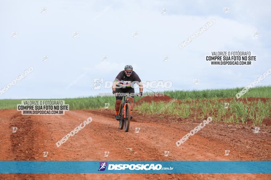 1ª EDIÇÃO DESAFIO ABELHA GRANDE - XCM