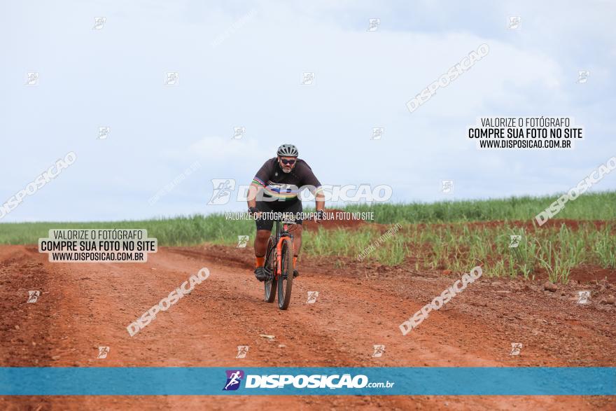 1ª EDIÇÃO DESAFIO ABELHA GRANDE - XCM