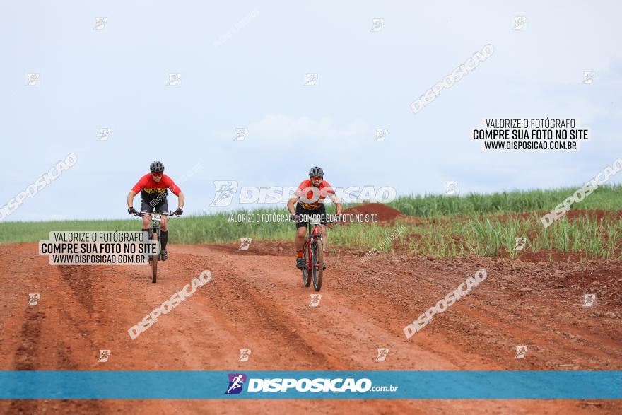 1ª EDIÇÃO DESAFIO ABELHA GRANDE - XCM