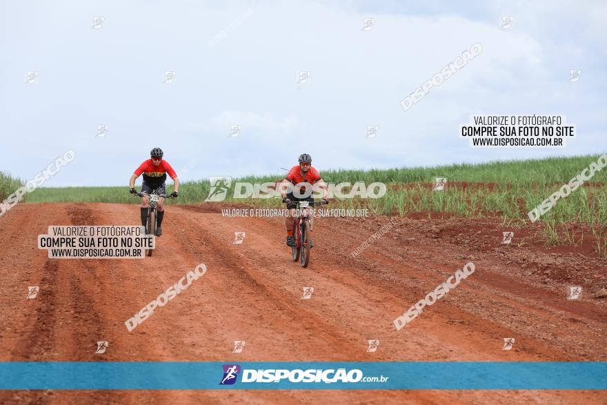 1ª EDIÇÃO DESAFIO ABELHA GRANDE - XCM