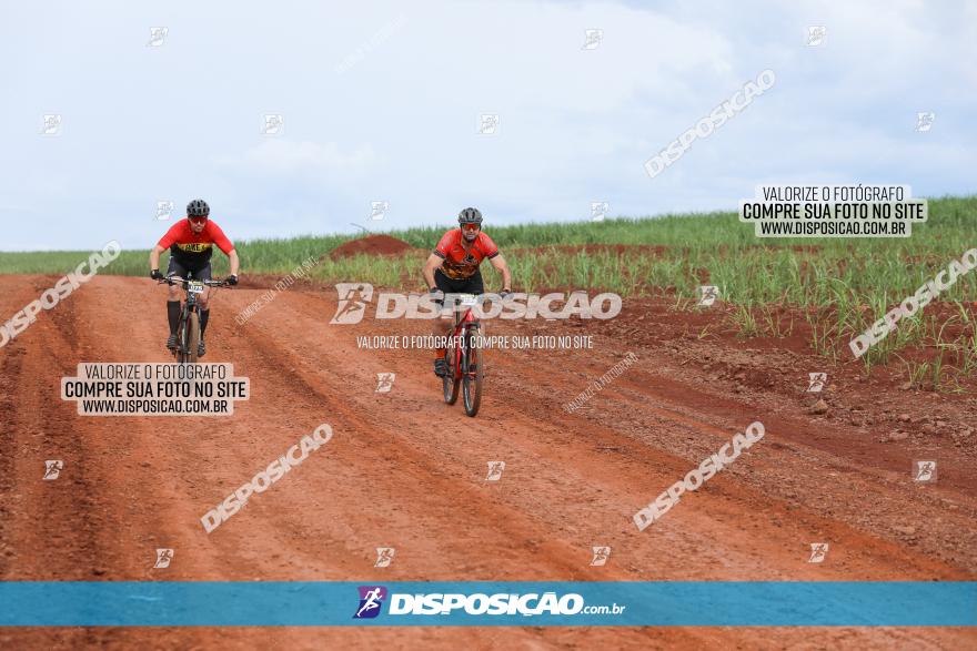 1ª EDIÇÃO DESAFIO ABELHA GRANDE - XCM