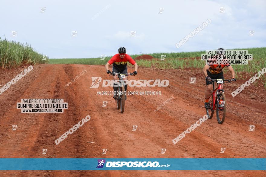 1ª EDIÇÃO DESAFIO ABELHA GRANDE - XCM