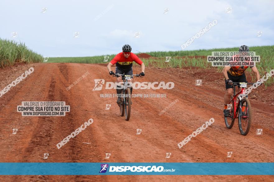 1ª EDIÇÃO DESAFIO ABELHA GRANDE - XCM