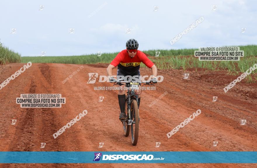 1ª EDIÇÃO DESAFIO ABELHA GRANDE - XCM