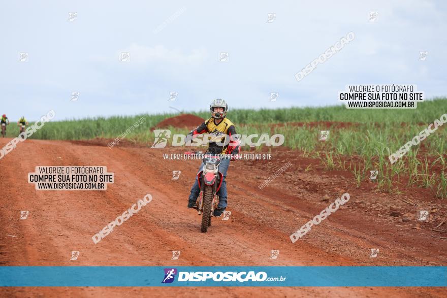 1ª EDIÇÃO DESAFIO ABELHA GRANDE - XCM