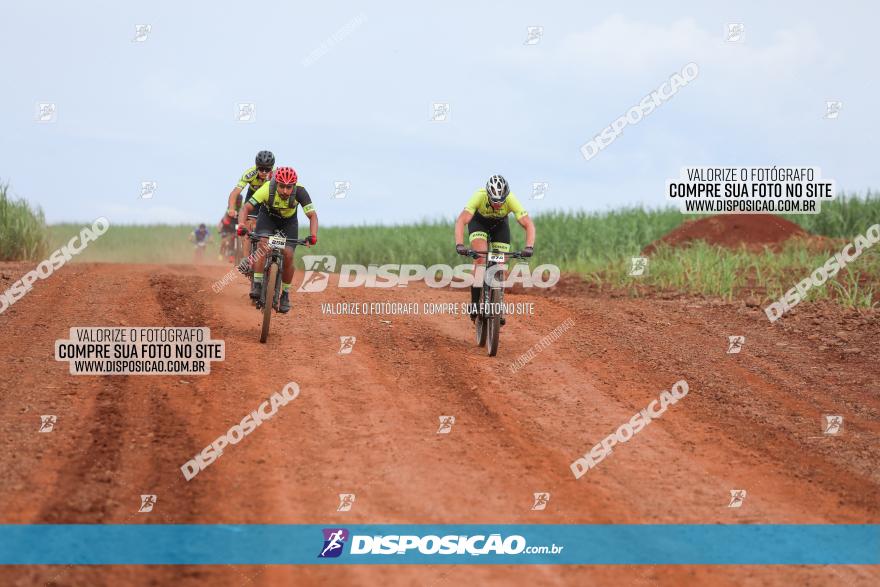 1ª EDIÇÃO DESAFIO ABELHA GRANDE - XCM