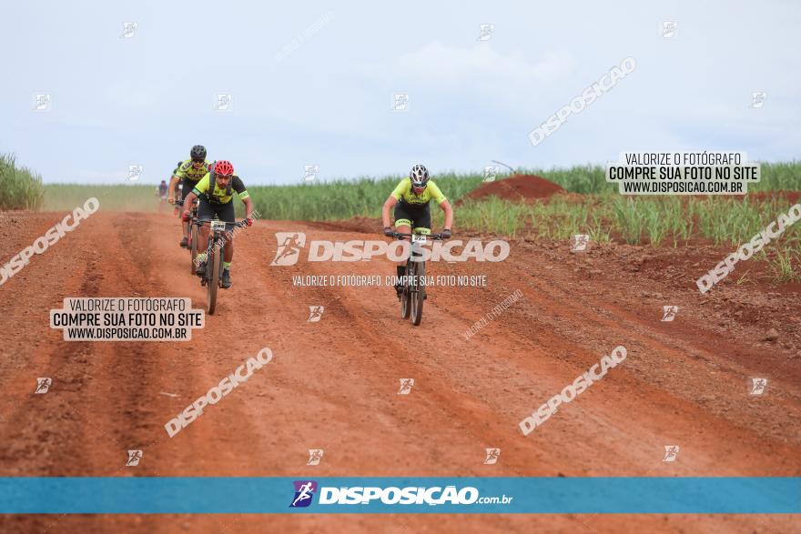 1ª EDIÇÃO DESAFIO ABELHA GRANDE - XCM