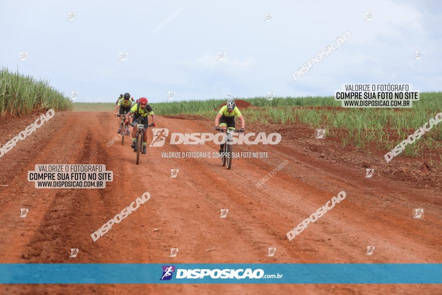 1ª EDIÇÃO DESAFIO ABELHA GRANDE - XCM