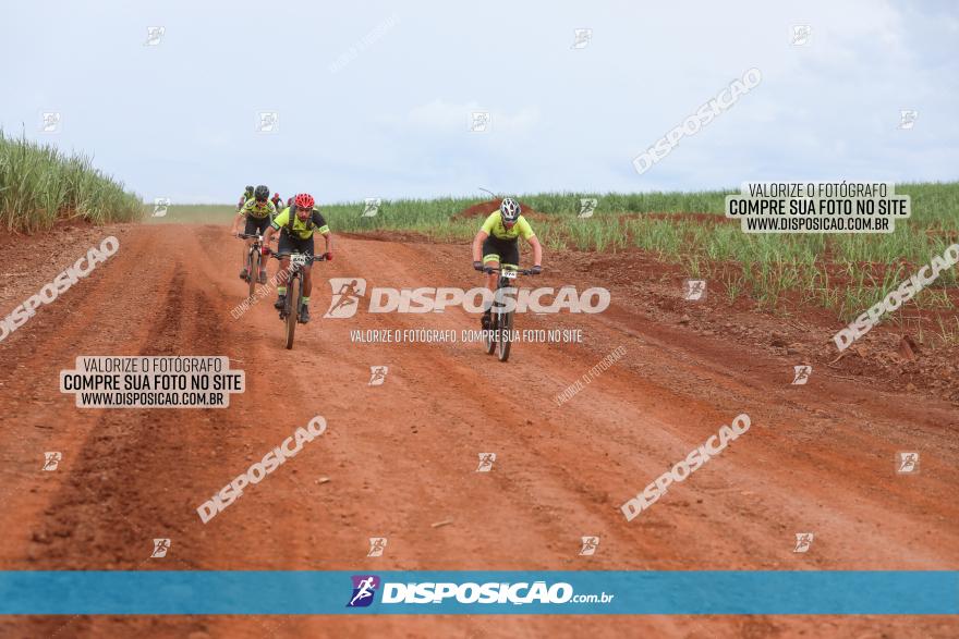 1ª EDIÇÃO DESAFIO ABELHA GRANDE - XCM