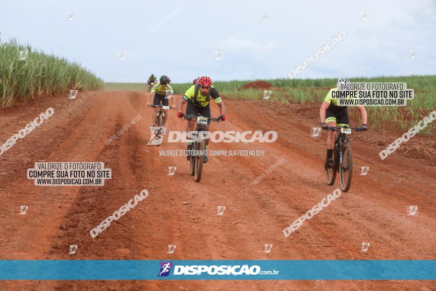 1ª EDIÇÃO DESAFIO ABELHA GRANDE - XCM