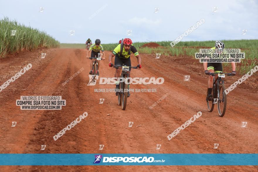 1ª EDIÇÃO DESAFIO ABELHA GRANDE - XCM