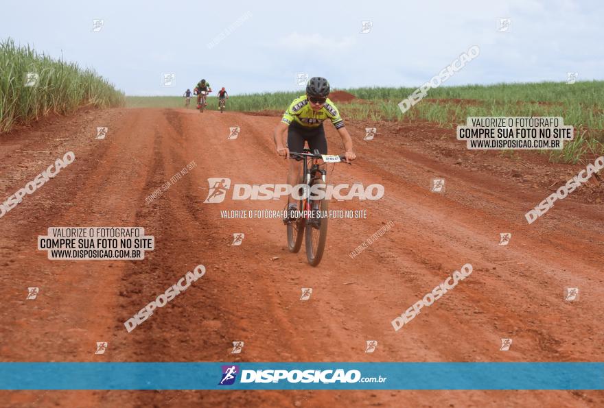 1ª EDIÇÃO DESAFIO ABELHA GRANDE - XCM