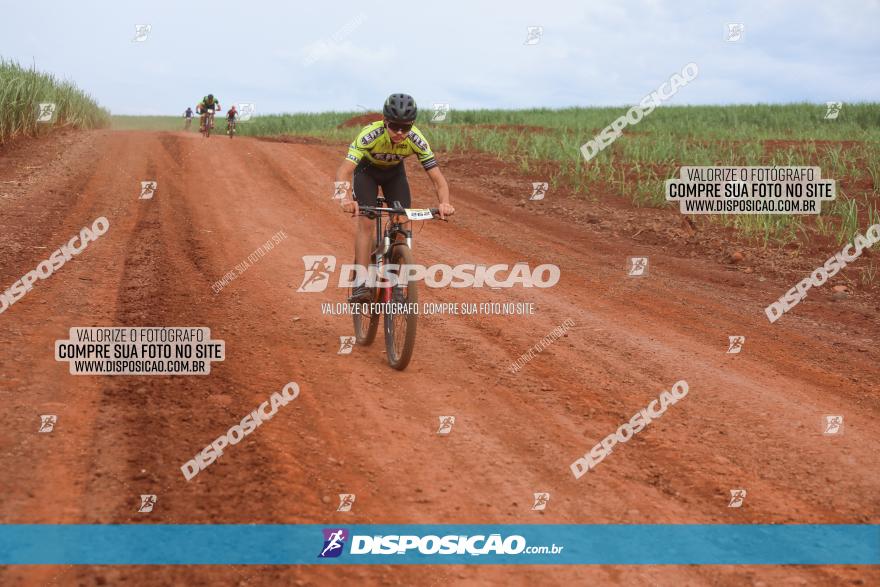 1ª EDIÇÃO DESAFIO ABELHA GRANDE - XCM