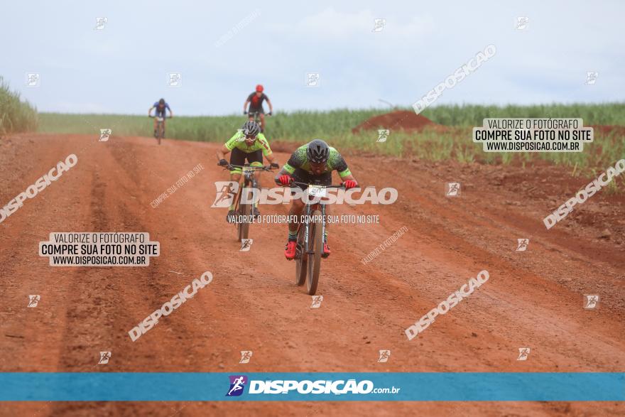 1ª EDIÇÃO DESAFIO ABELHA GRANDE - XCM