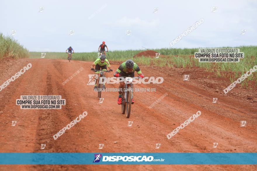 1ª EDIÇÃO DESAFIO ABELHA GRANDE - XCM