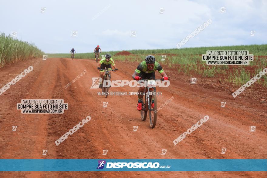 1ª EDIÇÃO DESAFIO ABELHA GRANDE - XCM