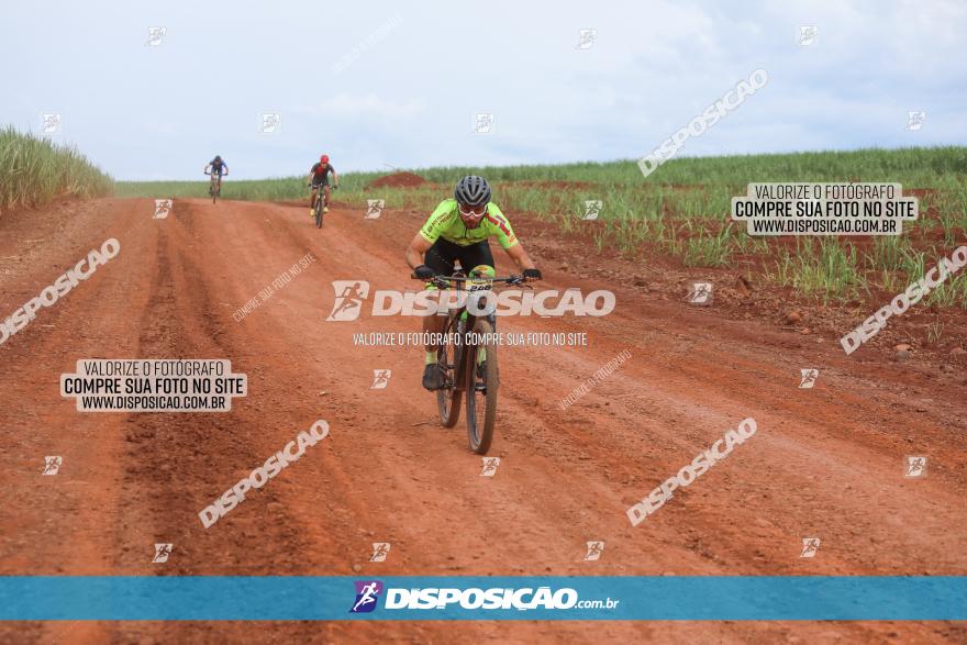 1ª EDIÇÃO DESAFIO ABELHA GRANDE - XCM