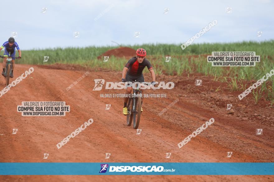 1ª EDIÇÃO DESAFIO ABELHA GRANDE - XCM