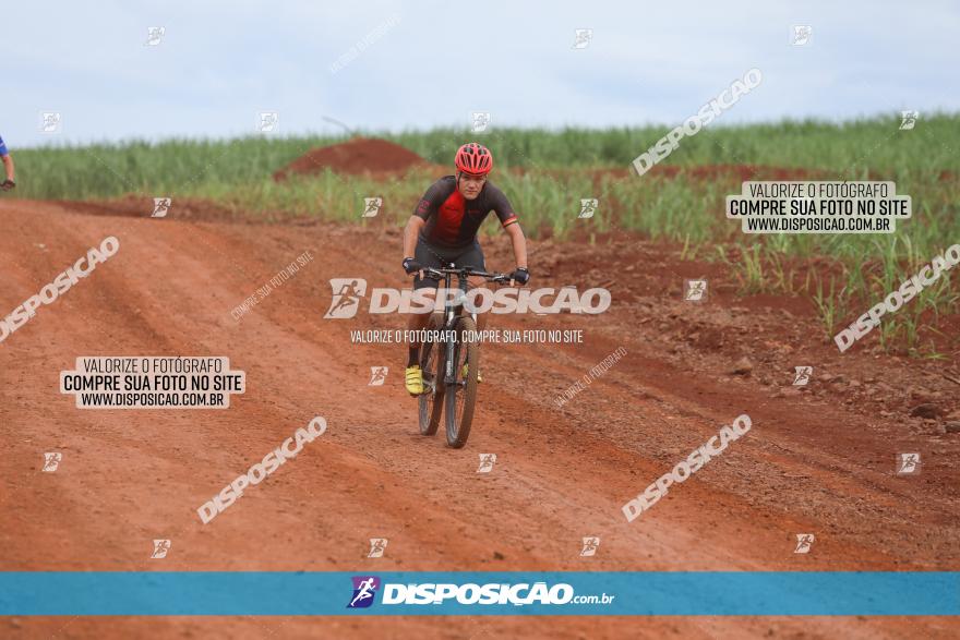 1ª EDIÇÃO DESAFIO ABELHA GRANDE - XCM