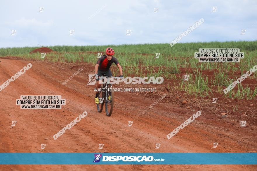 1ª EDIÇÃO DESAFIO ABELHA GRANDE - XCM