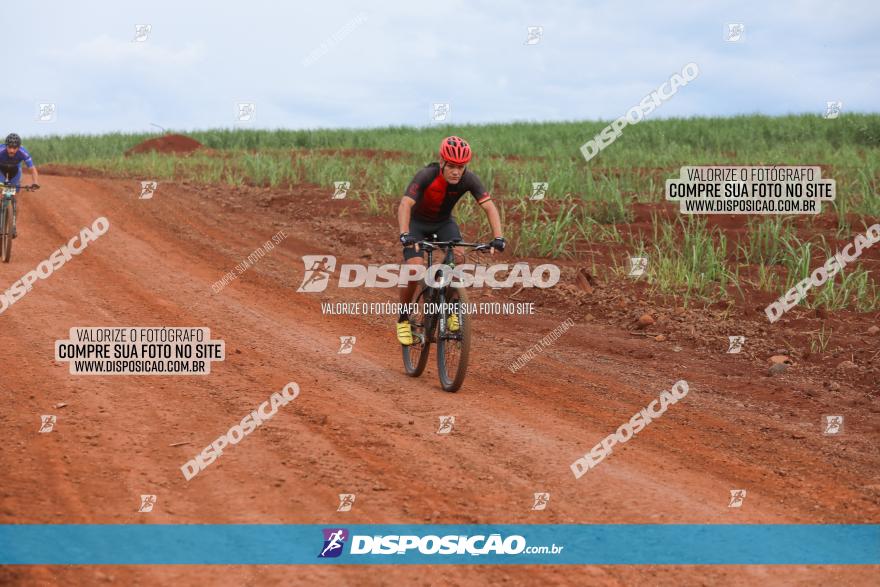 1ª EDIÇÃO DESAFIO ABELHA GRANDE - XCM