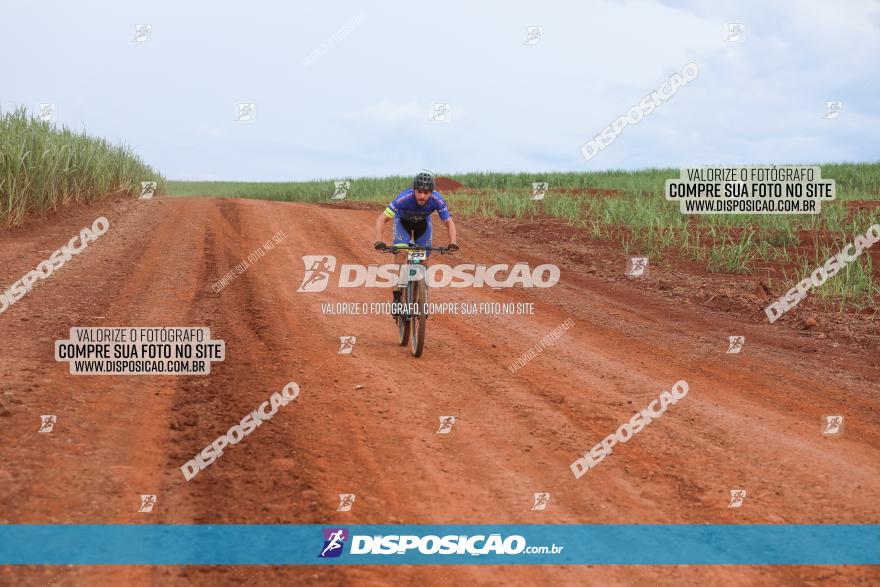 1ª EDIÇÃO DESAFIO ABELHA GRANDE - XCM