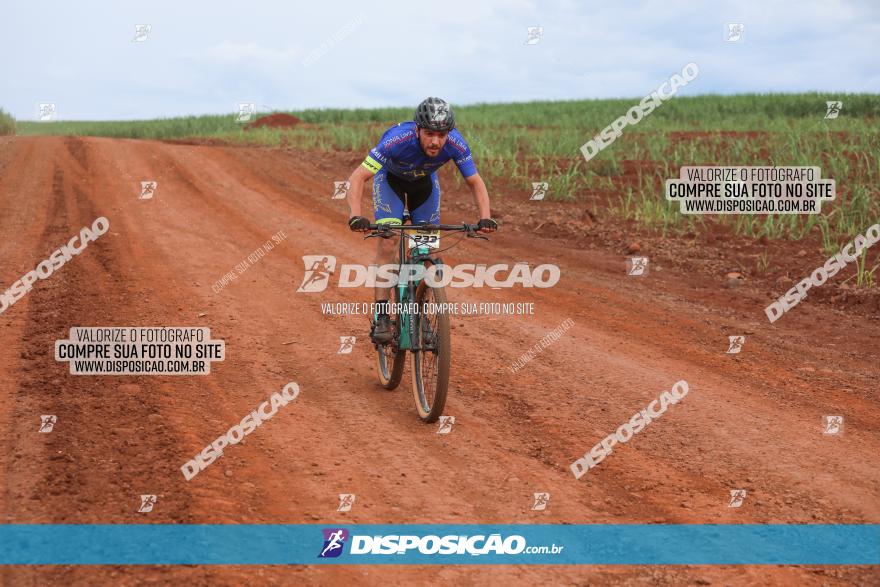 1ª EDIÇÃO DESAFIO ABELHA GRANDE - XCM