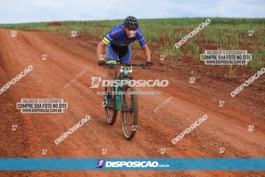 1ª EDIÇÃO DESAFIO ABELHA GRANDE - XCM