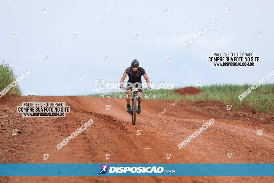 1ª EDIÇÃO DESAFIO ABELHA GRANDE - XCM