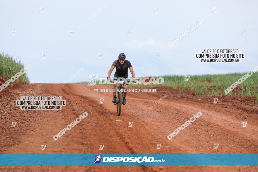 1ª EDIÇÃO DESAFIO ABELHA GRANDE - XCM