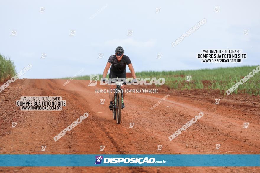 1ª EDIÇÃO DESAFIO ABELHA GRANDE - XCM